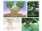 A 3D Tree.jpg